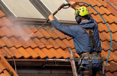 Démoussage et hydrofuge de toiture à Vernais